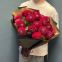 19 красных георгин